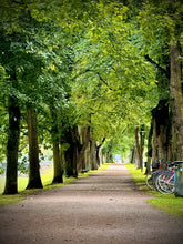 Load image into Gallery viewer, Pråmkanalsallén