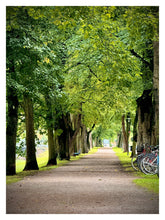 Load image into Gallery viewer, Pråmkanalsallén